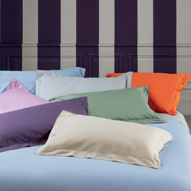Vendita on line lenzuolo sopra matrimoniale bossi modello bossicolor 255x290 cm - biancheria per la casa
